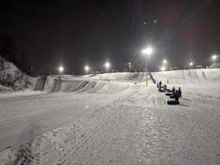 Ivory & Rose Studio - 1