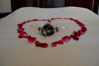 Hotel Tongerlo - Roosendaal - 5