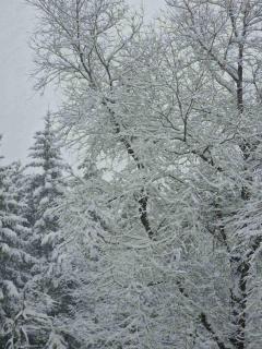 Apartman Suzii - Pale - 7