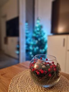 Divčibare apartman Doros - 7