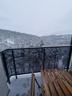 Divčibare apartman Doros - 8