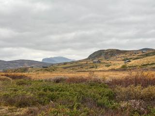 Pen hytte nær Ål - 4