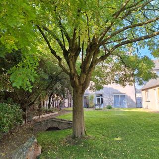 Appart modern'-jardin-terrasse-centre Mayenne - 1