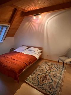 Maison Seeland-ruhig-Natur-Bern-Murten-Neuenburg - 8