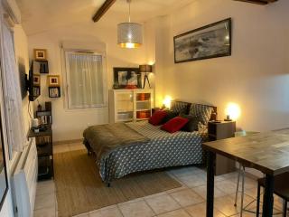 Maisonnette 28m2-grand confort avec jardin - 9