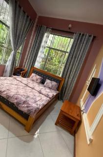 Kilimanjaro Forest Lodge and Camping Site - 8