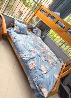 Kilimanjaro Forest Lodge and Camping Site - 4