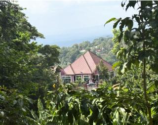 Kilimanjaro Forest Lodge and Camping Site - 0