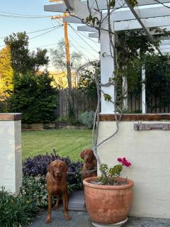 Sunset House - Oceanstays - Yamba - 8