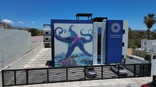 Modern apartment in downtown La Paz, everything walking distance! - 3