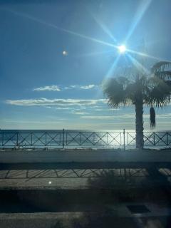 House Tempa la pera - 8