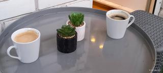 Apartman Vidačić - 2