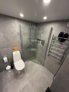 Fresh and newly renovated basement apartment - 2