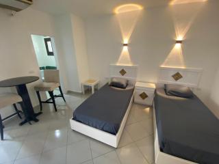 Simple modern studio in delta - 0