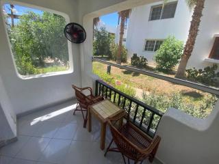 Simple modern studio in delta - 3