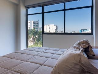 Spacious Apartment with Rooftop Pool near Malecon - 1