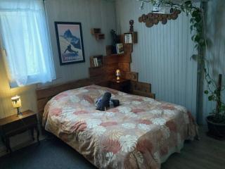 Maison de ski et randonnée - 7