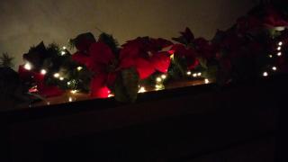 Liberty Apartments - 8