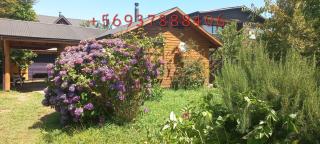 Cabaña céntrica Pucón - 9