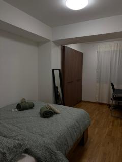 Modern Lux Apartment Skopje - 9