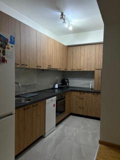 Modern Lux Apartment Skopje - 3