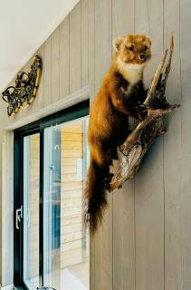 Mountain Apartment With Views In Myrkdalen - 6