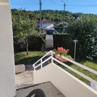 Appartement verdoyant au bord du lac Leman entre Evian et Thonon dans une Villa - 5