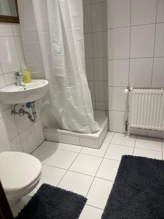 Haus zum Bacchus Privatezimmer near Bahnhof Römisches Theater Mainz - 4