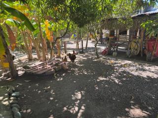 Finca Agroturística La Sultana - 1