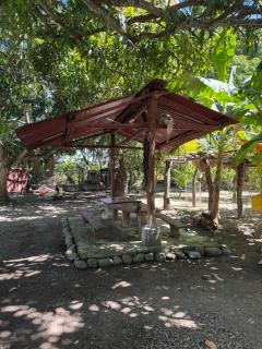 Finca Agroturística La Sultana - 2