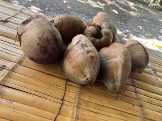 Finca Agroturística La Sultana - 3