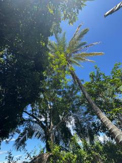 Finca Agroturística La Sultana - 4