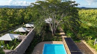 Tropical Magnolia -  - 8