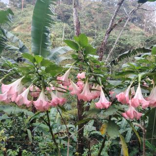 Hotel El Santuario - 9