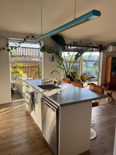 'Jessie St Jungle' - 6