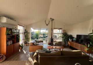 'Jessie St Jungle' - 3