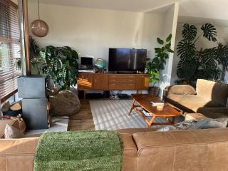 'Jessie St Jungle' - 1