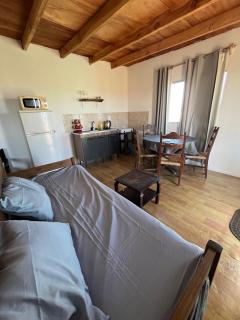 Complejo Da Fortune 5 - 9