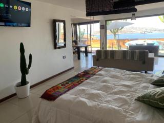 Loft Cactus De La Herradura - 6