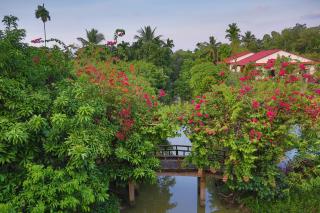 Phi Yen Eco Resort Can Tho - 5