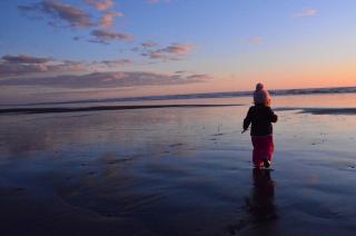 Beach Front Retreat with Amazing Ocean Views - 1