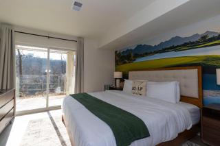 Roark Home Suites - Branson Landing, Gym, Indoor Pool - 1