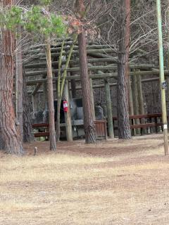 arriendo Alto Las Cruces - 9