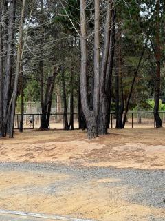 arriendo Alto Las Cruces - 3