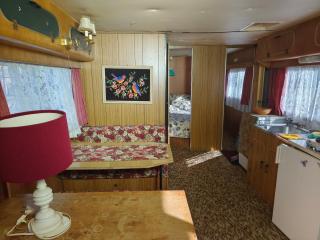 Královna - Camp pod kaštany - 6