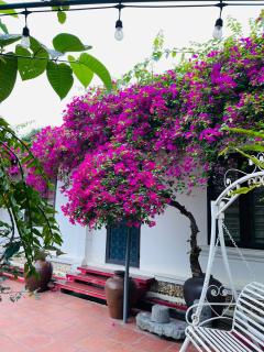 Nha Xanh Homestay - 8