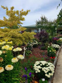 Lily Pad Apartment - 7