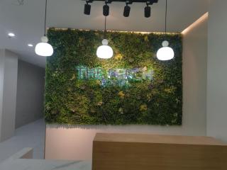 The Perch Hostel - 1