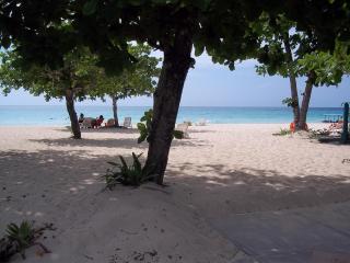 1 BDR Apt on 7 Mile Beach at Negril Beach Club - 6