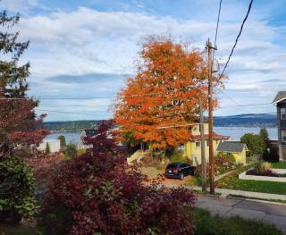 Rainier Beach - Lake WA View - 15 Min to Downtown & SEA Airport - 6